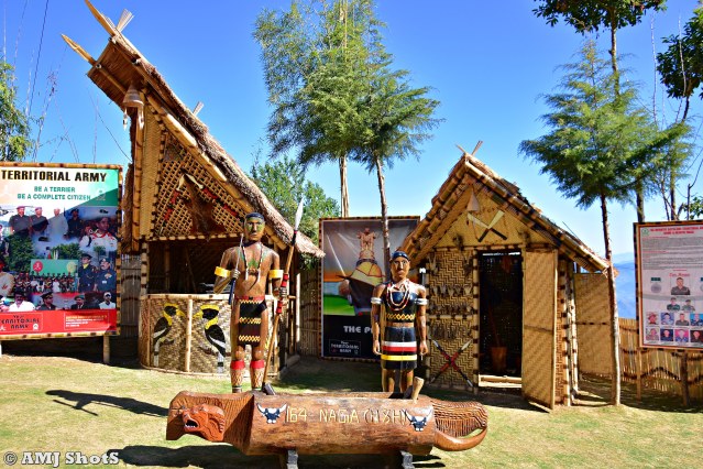 DSC_3788 Traditional Naga tribal Huts.